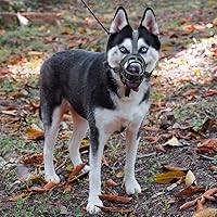Vista 6 de BARKLESS Bozal para perro, bozal de silicona suave para perros para evitar morder y masticar, cubierta de boca de jaula transpirable
