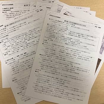 Amazon.co.jp: 駿台 世界史文化史総整理 テキスト+鵜飼恵太先生