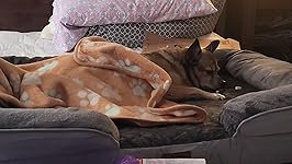 Review Image by Cristie Appleton Cristie Appleton