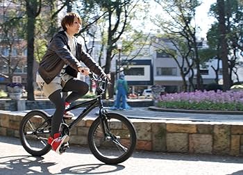 BMX 20インチ エンカウンター BM-20E 10429 81N3yrrARoL.jpg_BO30,255,255,
