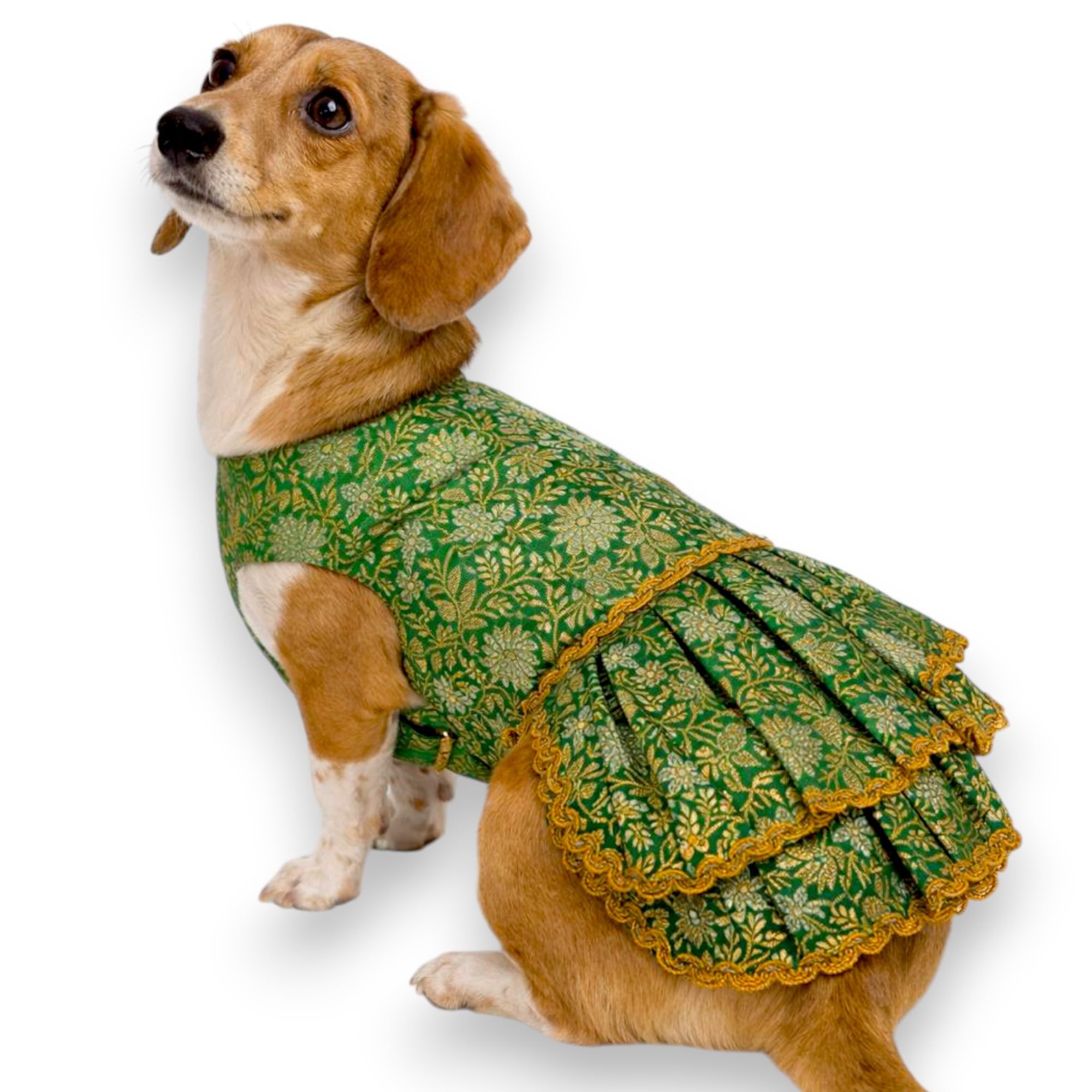 Tails and Tickle Dog Dress for Pets | Festive Frock with Cotton Lining & Lace Detailing | Ethnic Outfit for Wedding, Party & Celebrations