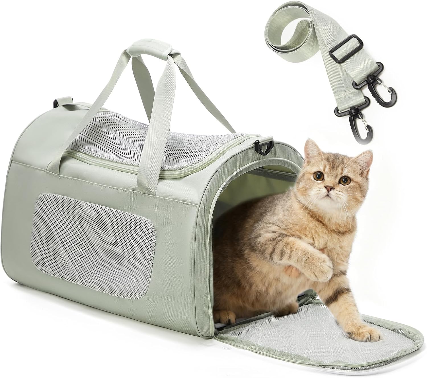 Airline-Approved Soft-Sided Pet Carrier for Cats & Small Dogs, 20 lbs Airline-Approved Soft-Sided Pet Carrier for Cats & Small Dogs, 20 lbs