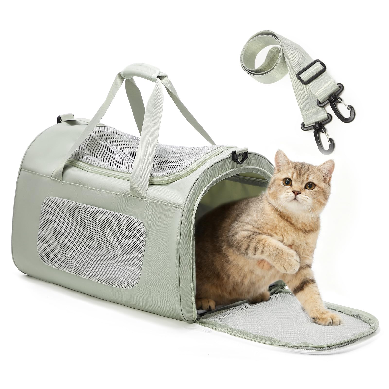 Boîte de transport pour chats pliable pour voyager sans stress avec 9kg