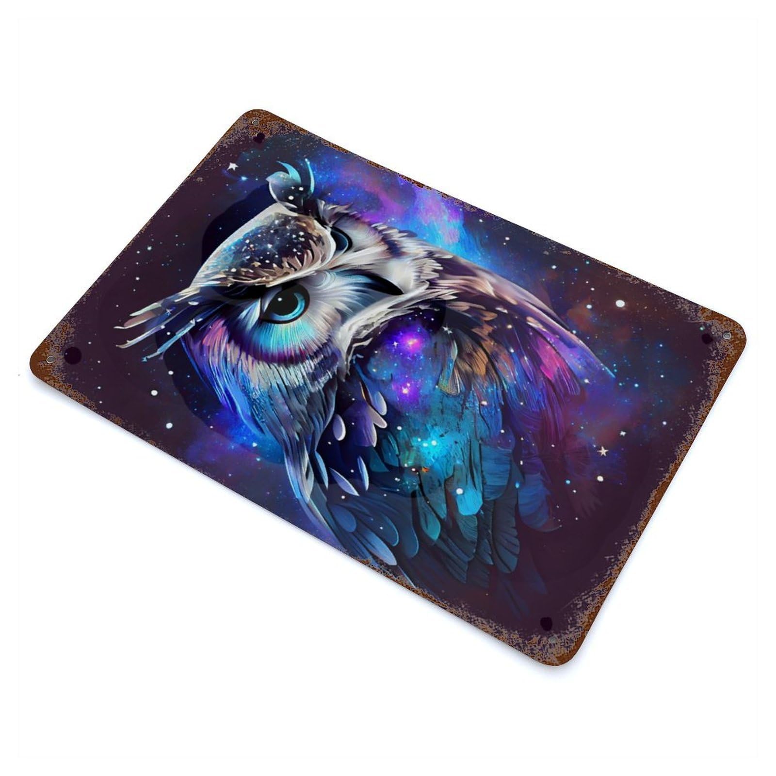 Garage Style OWL with Galaxy Theme Weathered Tin Sign 11.8"x7.9", Classic Wall Plaque for Bar And Workshop