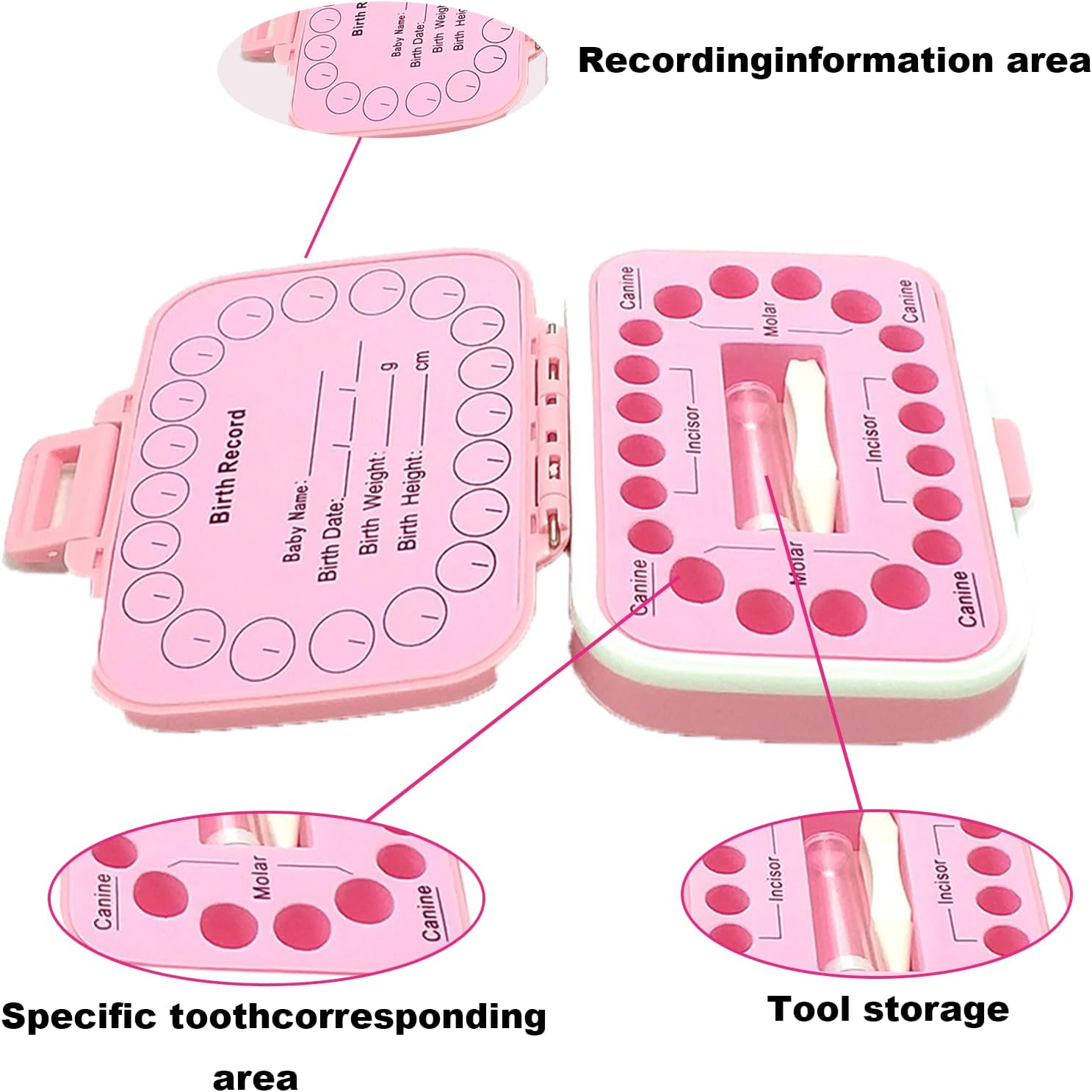 PandaEar Baby Teeth Keepsake Box, Tooth Fairy Storage Holder for Kids, Tooth Saver Organizer Container with Birth Record Chart for Lost Teeth Collection -Pink