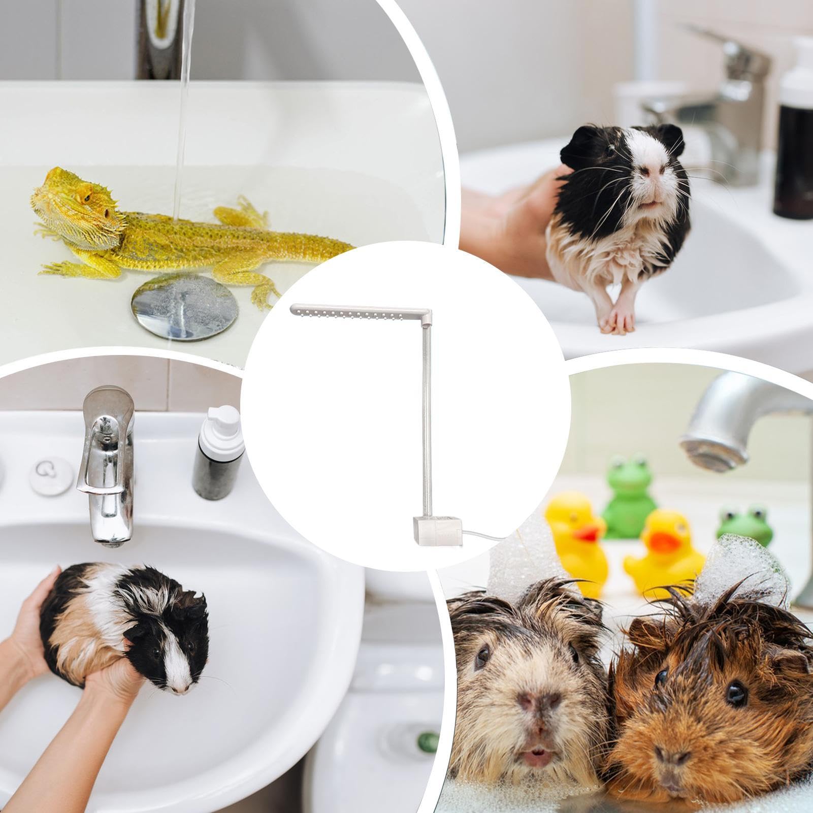 Bartagamen-Dusche elektrisches Sprühgerät mit Saugnäpfen Reptilien-Hygienezubehör Kleintier-Pflegegerät