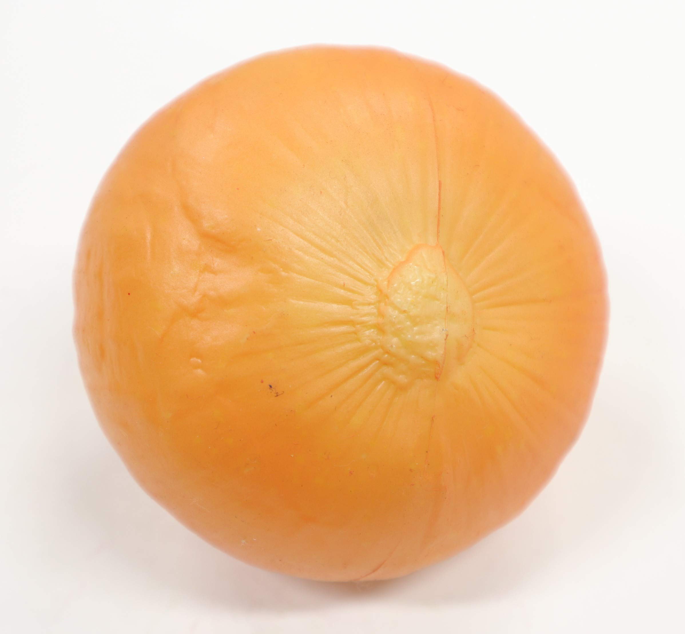 Amazon.co.jp: 食品サンプル 玉ねぎ 販促 インテリア