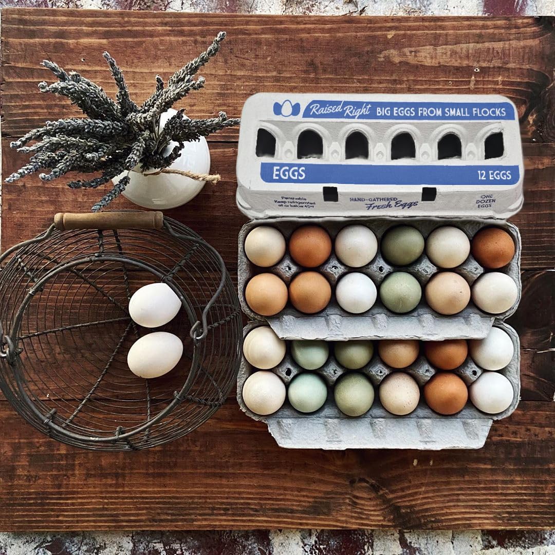 Henlay Jumbo Egg Cartons for 12 Farm Fresh Eggs – Cute Printed Design, Recycled Paper Cardboard, Durable & Reusable Egg Container (20)