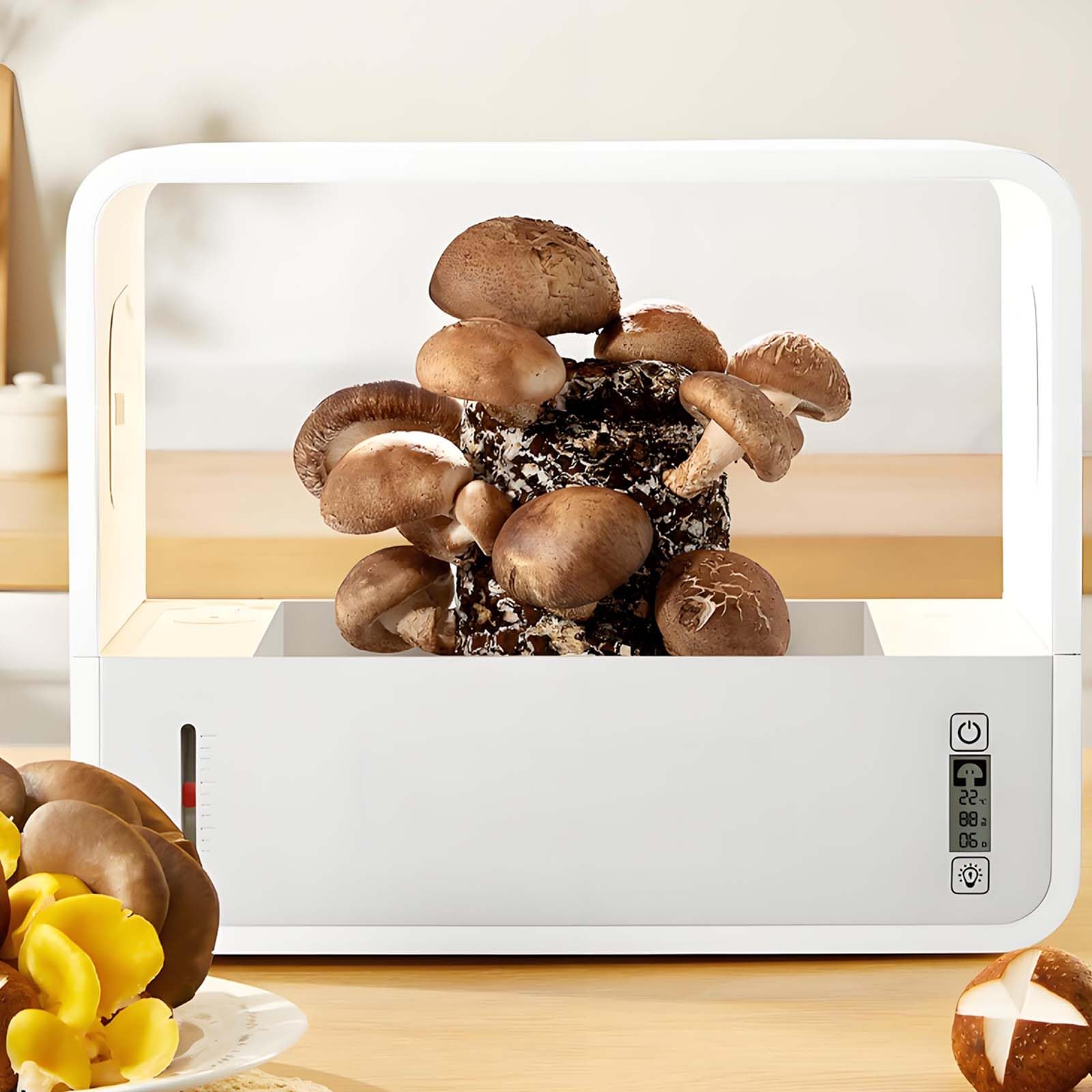 Kit de Cultivo de Setas con humidificación automática, Tienda de Cultivo Inteligente para Interior con luz LED y Pantalla de Temperatura, Caja de Aire estático para Uso doméstico para Setas Shiitake,