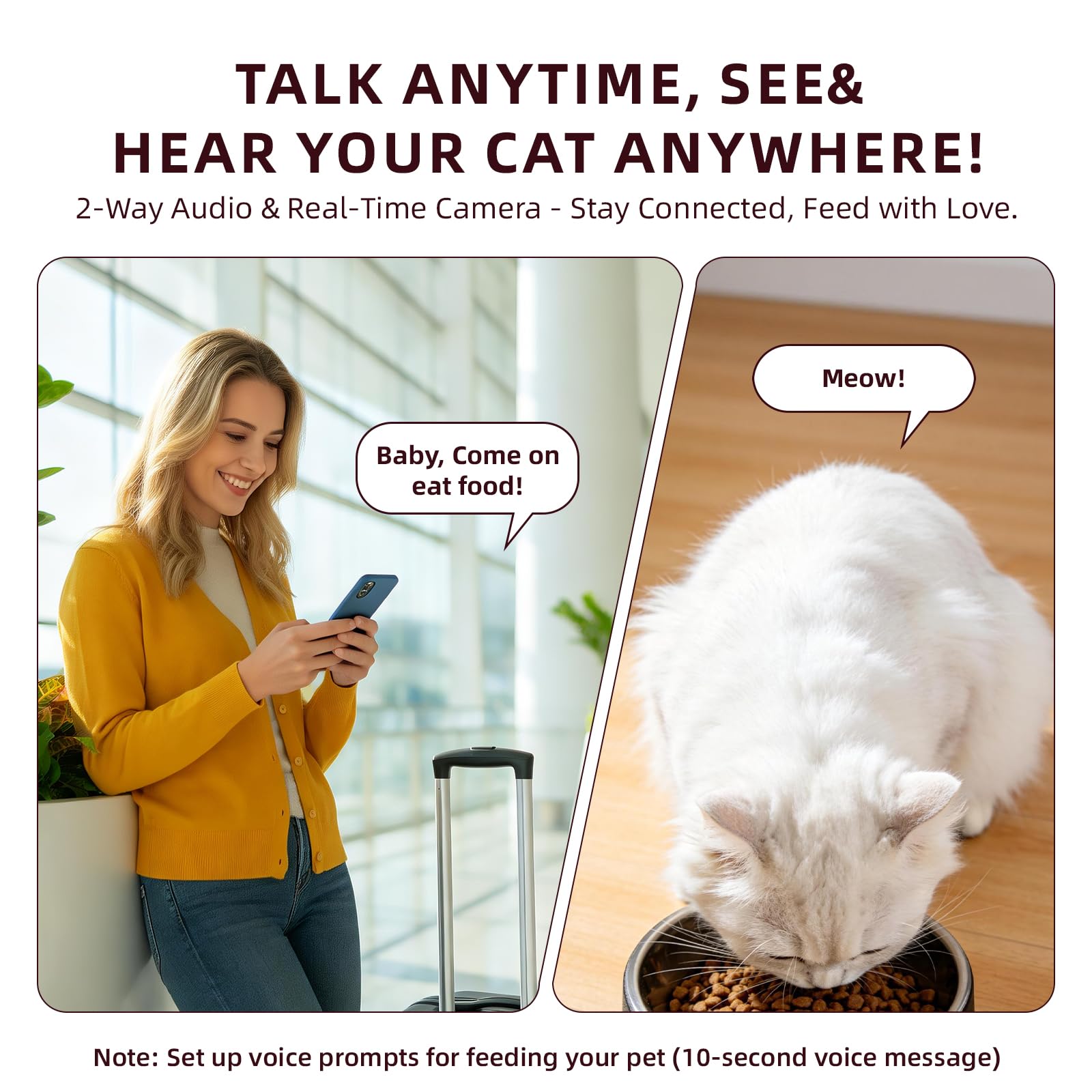 Smart Pet Feeder with Camera Gallery Image