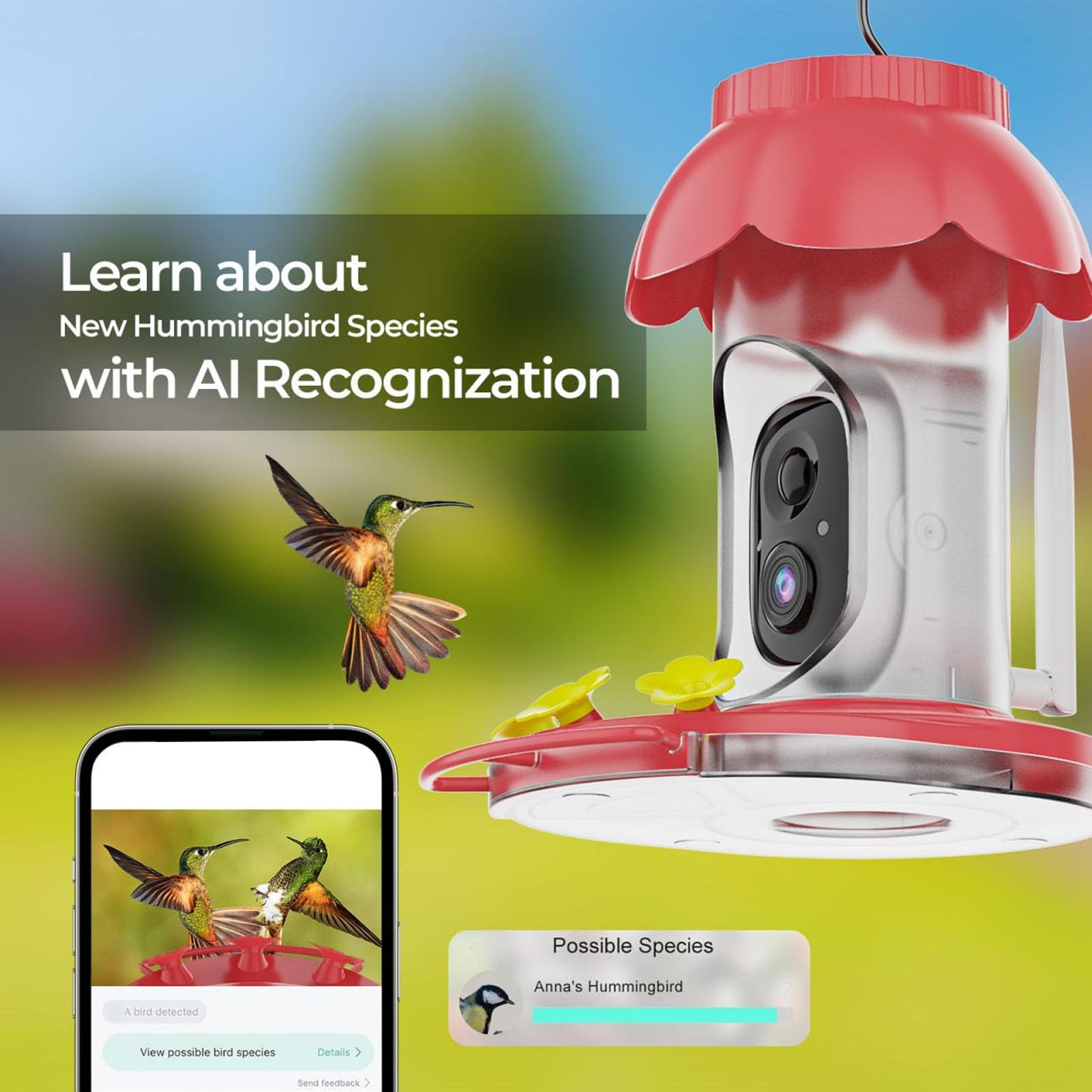 Cámara Inteligente para Comedero de Pájaros con Reconocimiento AI Más de 10000 Especies WiFi Alimentador de Pájaros Cámara Inalámbrica para Exteriores con Visión Nocturna