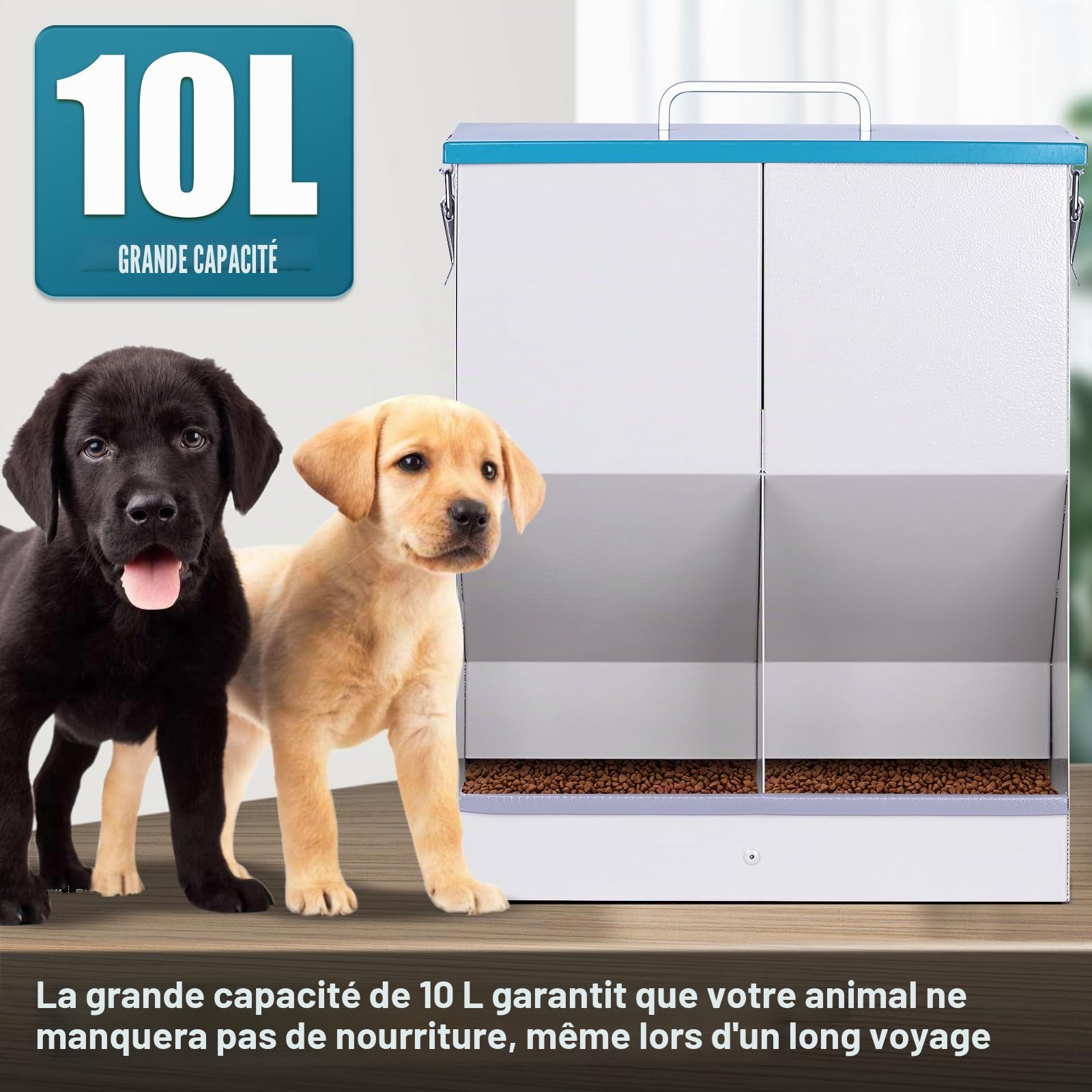 Distributeur Croquettes Chat Automatique pour 2 Chats 10L Distributeur de Nourriture Sèche pour Chiens Métal Mangeoire pour Chats et Chiens