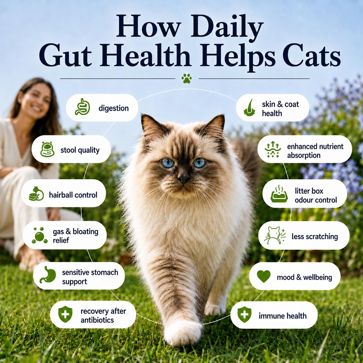 Cat Gut Health Supplement | Targeted Gut Health Support | 6 Billion CFU Probiotics for Loose Stools, Vomiting, Gas and Paw Licking | L-Methionine for Urinary Health | 300g — Amazon image 3
