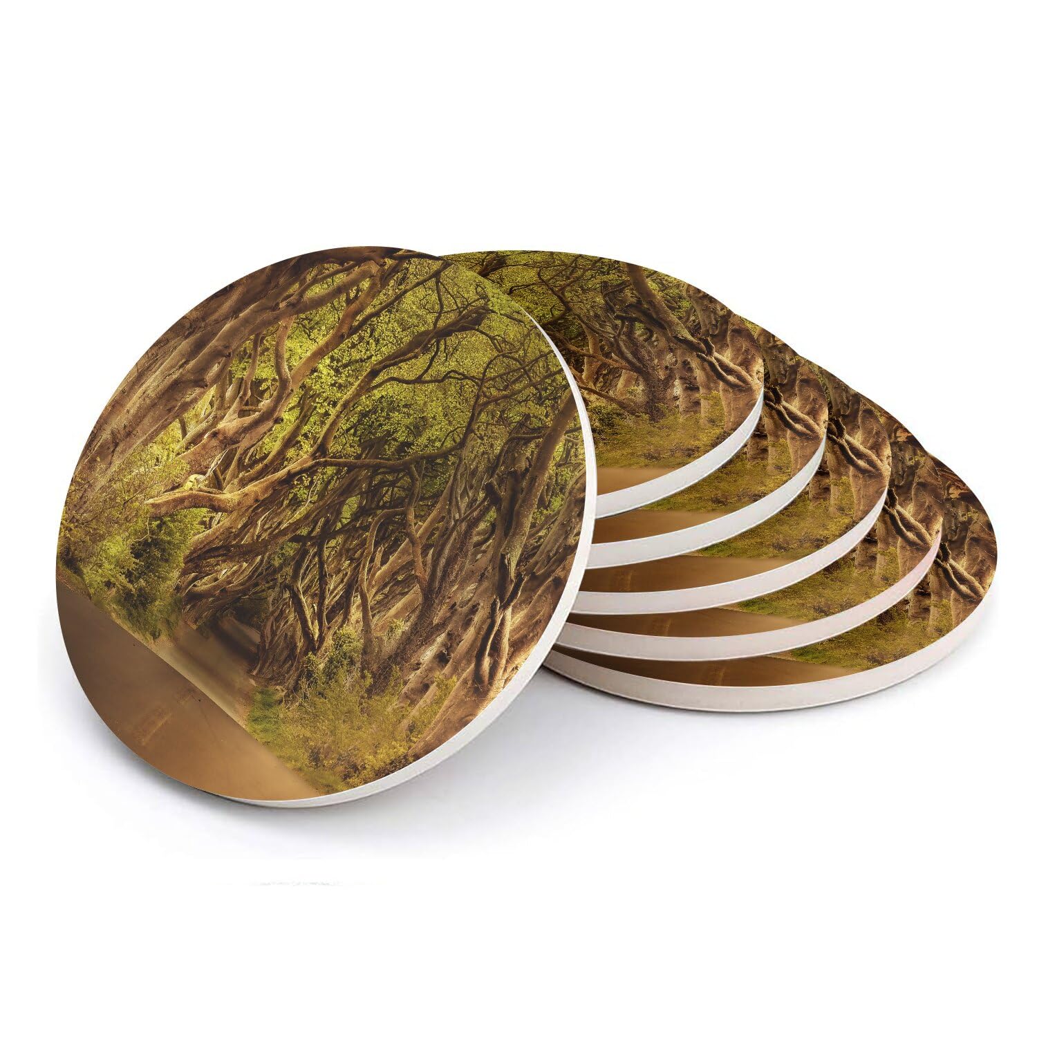 Sous-verre ronds en céramique premium avec motif artistique de forêt dense lot de 6