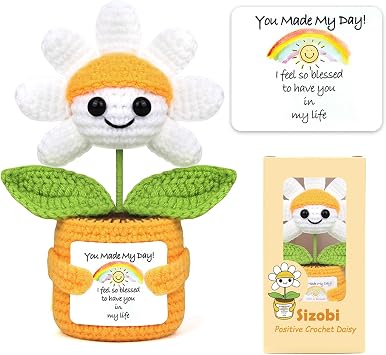 Sizobi Christmas Birthday Gifts for Mom Dad from Daughter Son, Handmade Crochet Mini Daisy Thank You Gift for Women Men, Stocking Stuffers Appreciation Gifts for Coworker Boss Friend Teacher