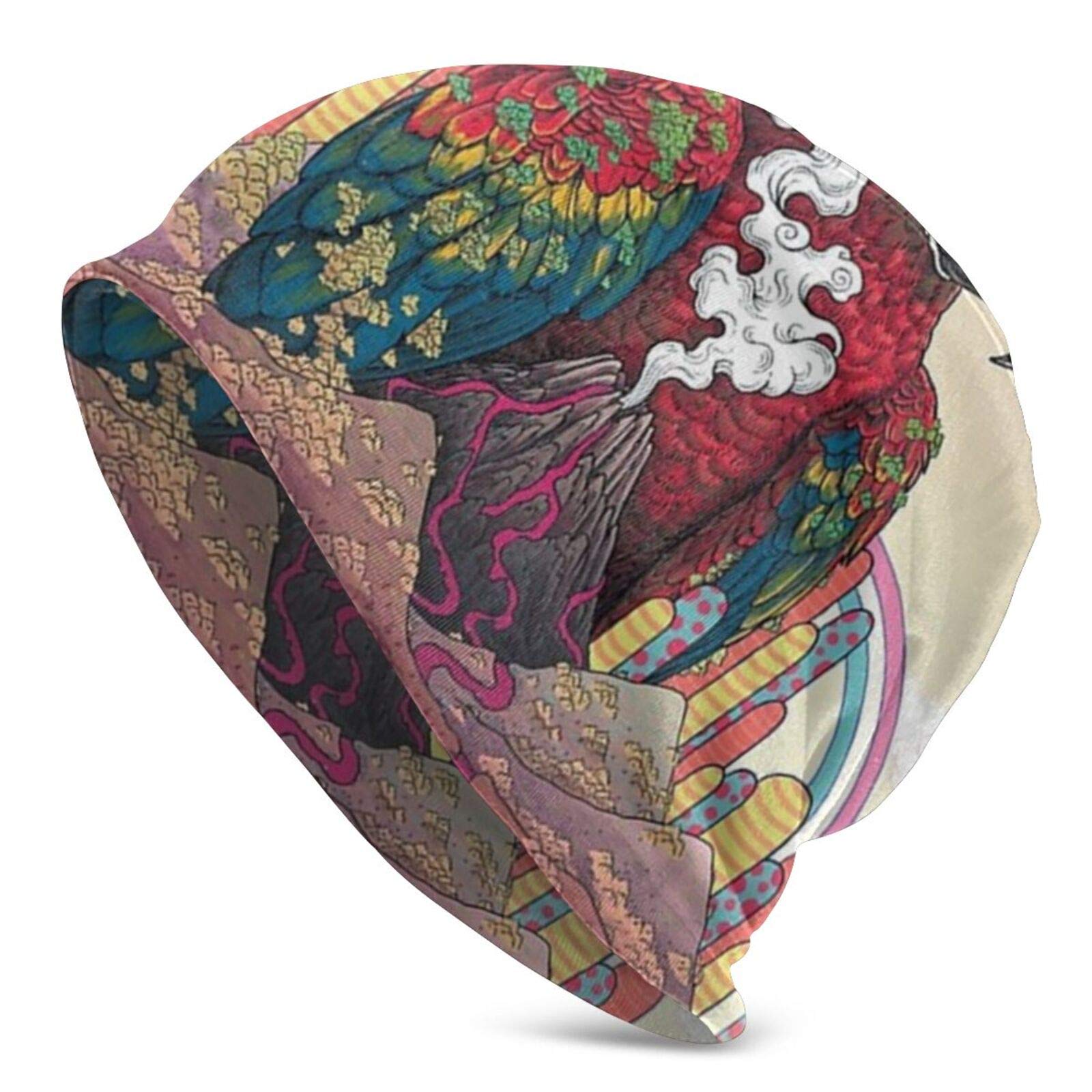 Unisex Beanie Caps Borderlands Parrot Forest Slouchy Winter Summer Knit Skull Hat Ski Hat Snapback for Women Men Black