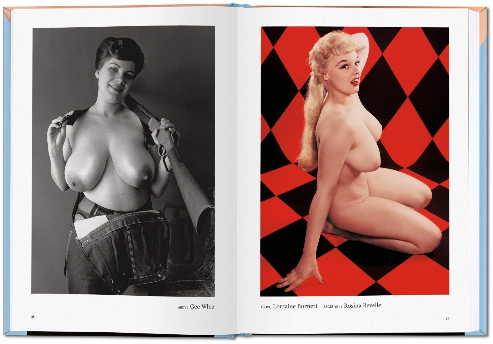 PO-LITTLE BOOK OF BIG BREASTS
