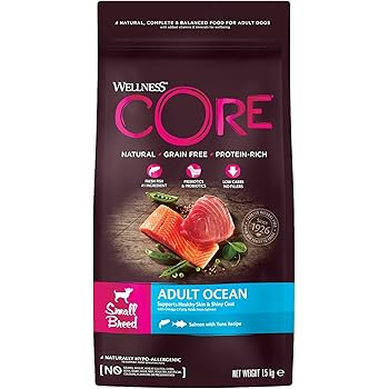 wellness core ocean