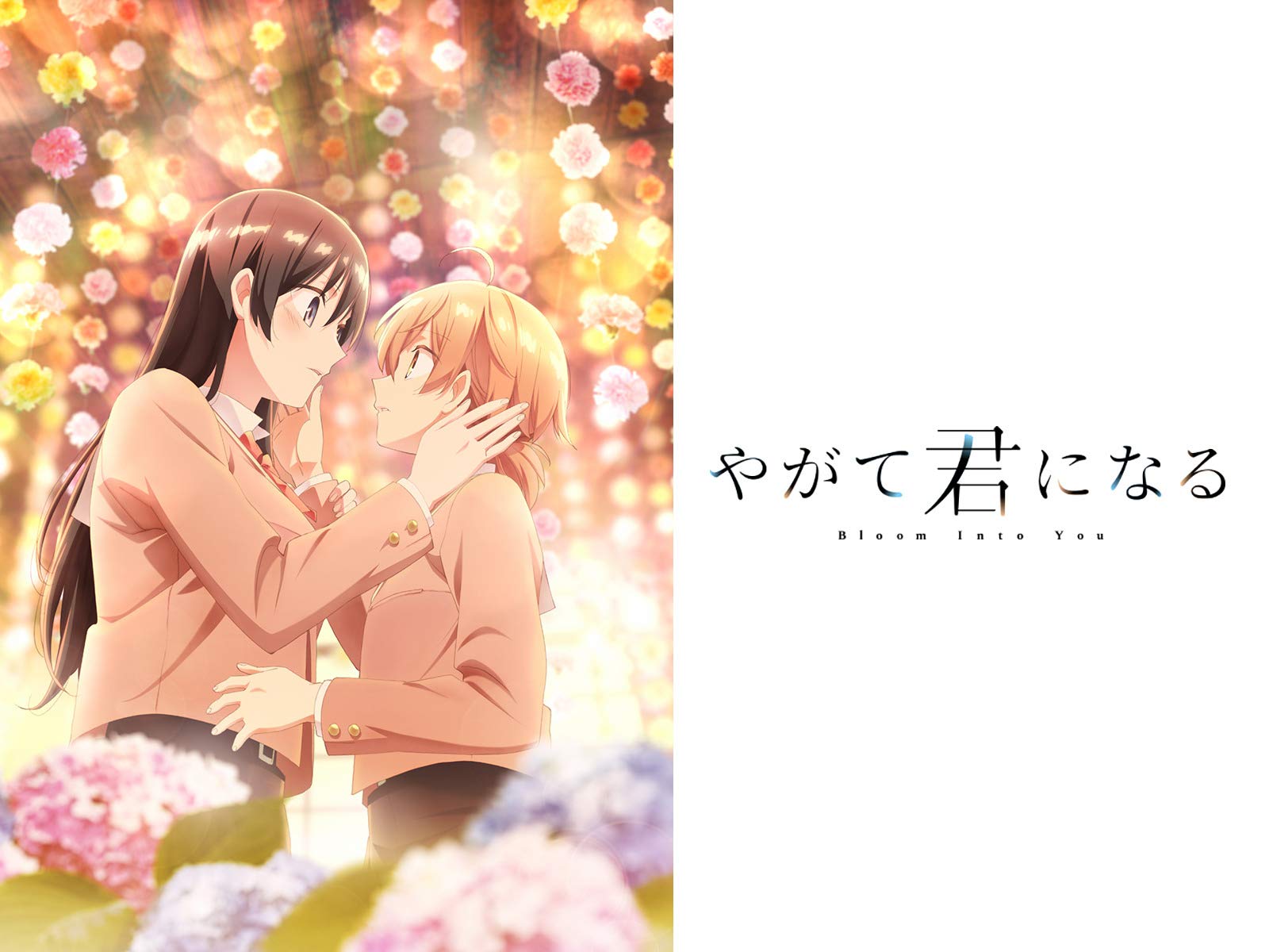 Amazon Co Jp やがて君になるを観る Prime Video