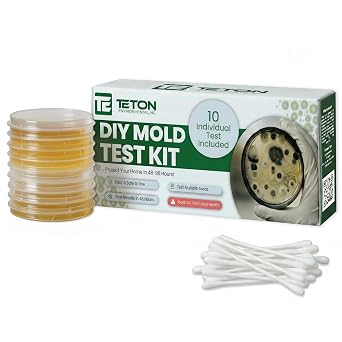 Mold Test Kit Test 10 Different Areas in Home, Swab Sample and Air Sample, Easy-to-Use Guide, Professional-Grade Testing
