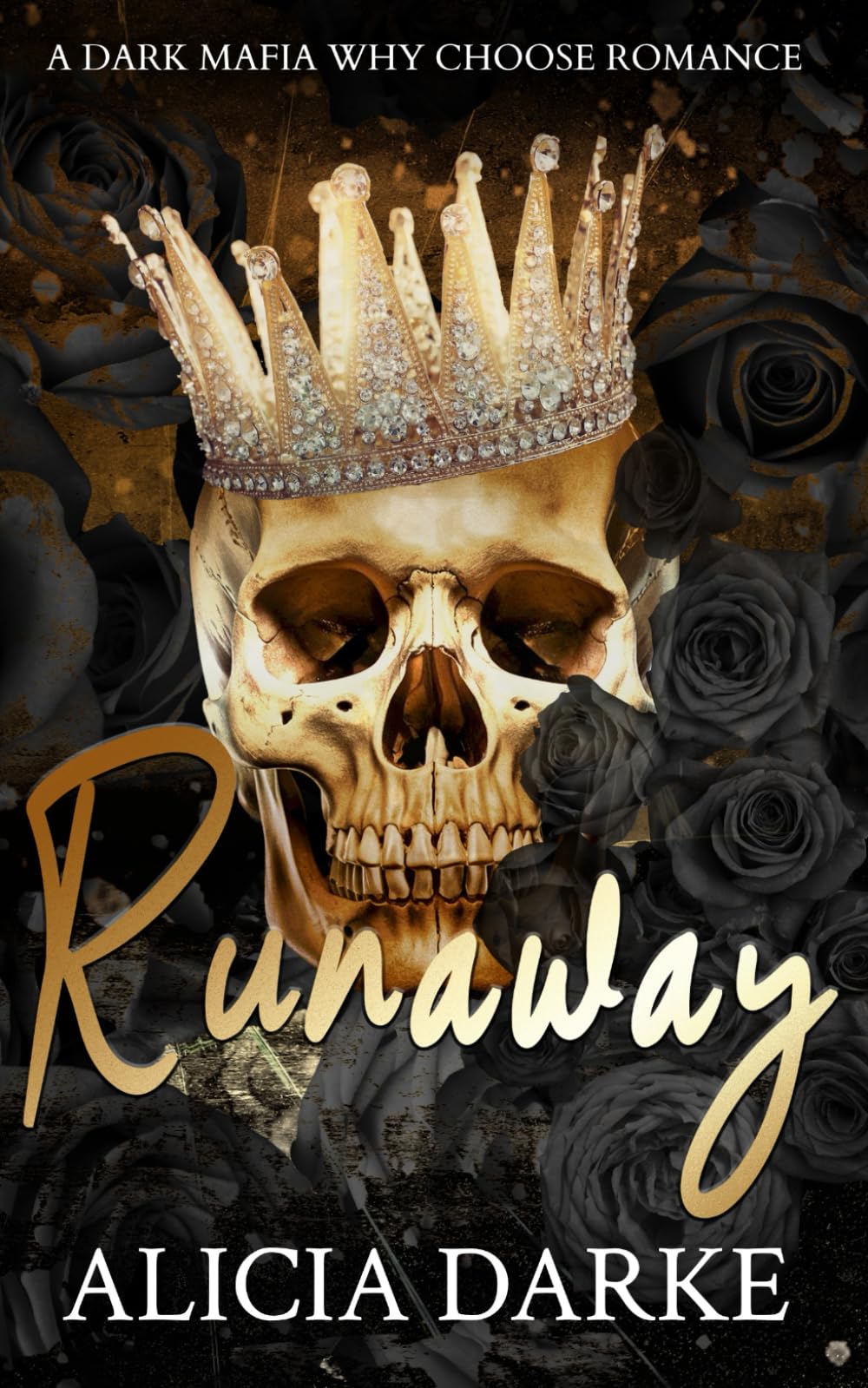 Runaway: A Dark Mafia Why Choose Romance (Savages of Ravens Hollow)