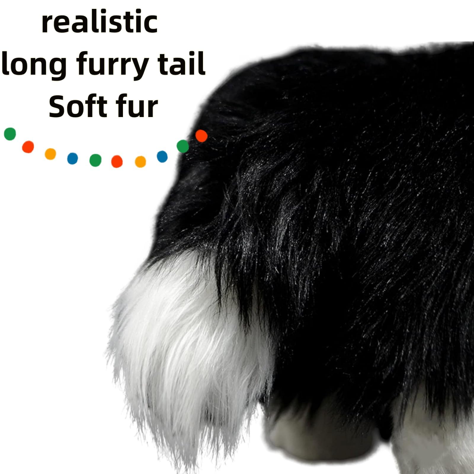 capybaraflying Cute Simulated Border Collie Plush Toy, 27cm/11in Realistic Border Collie Soft Animal Toy - Image 3