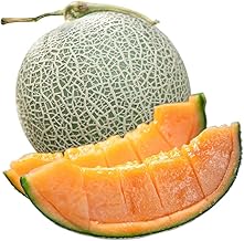 Melon Ripe Luxury Tokuhide A *Fruit Meister Supervised Melon, Can Be Compatible with Noshi, 1 Ball, Approx. 3.1 - 3.7 lbs (1.4 - 1.7 kg) (Red Meat Melon)