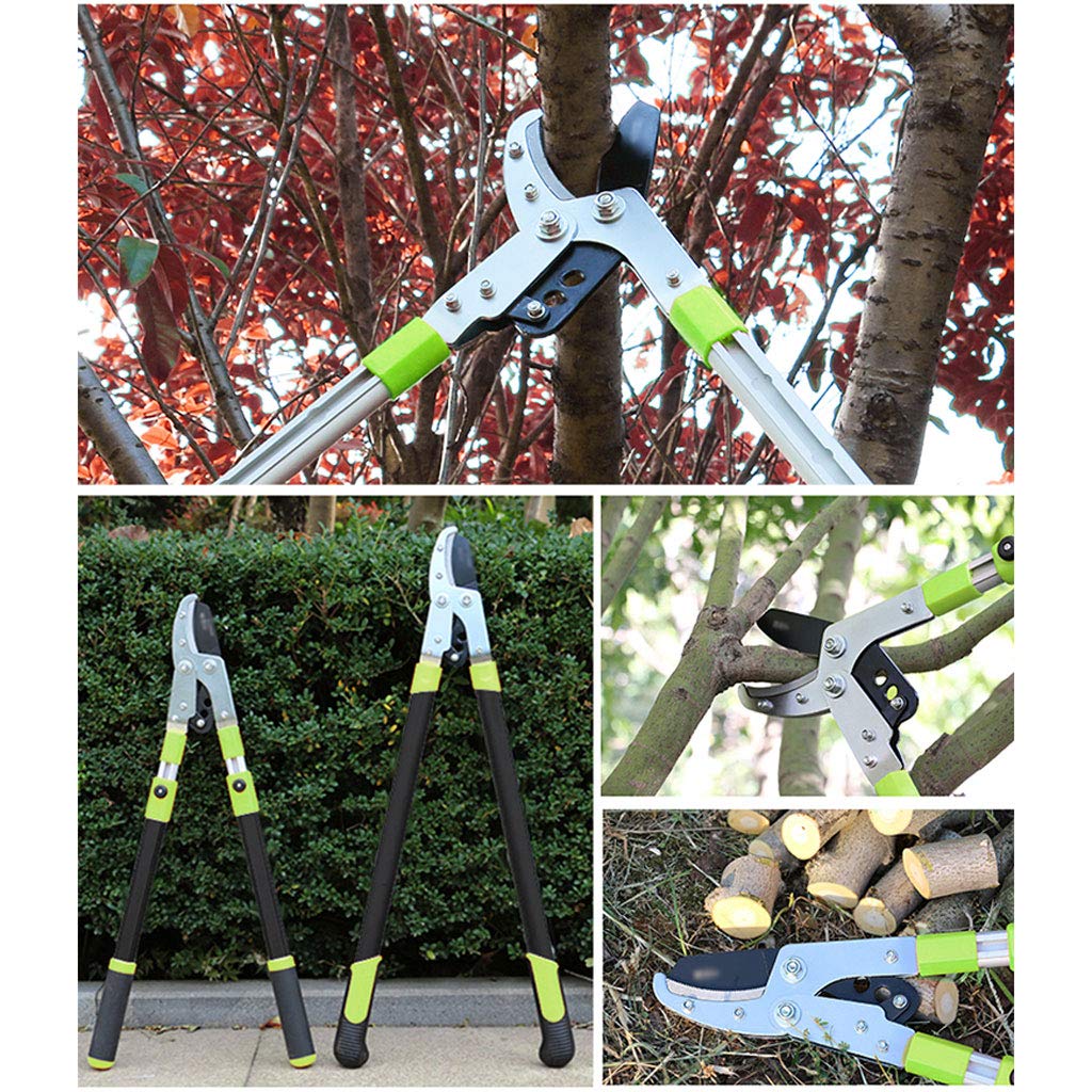 Cesoie da potatura a cricchetto per Alberi retrattili, cesoie per Rami da Giardino, Adatte per la Raccolta di Frutta e Verdura, potatura di Frutta, cesoie da potatura per Attrezzi