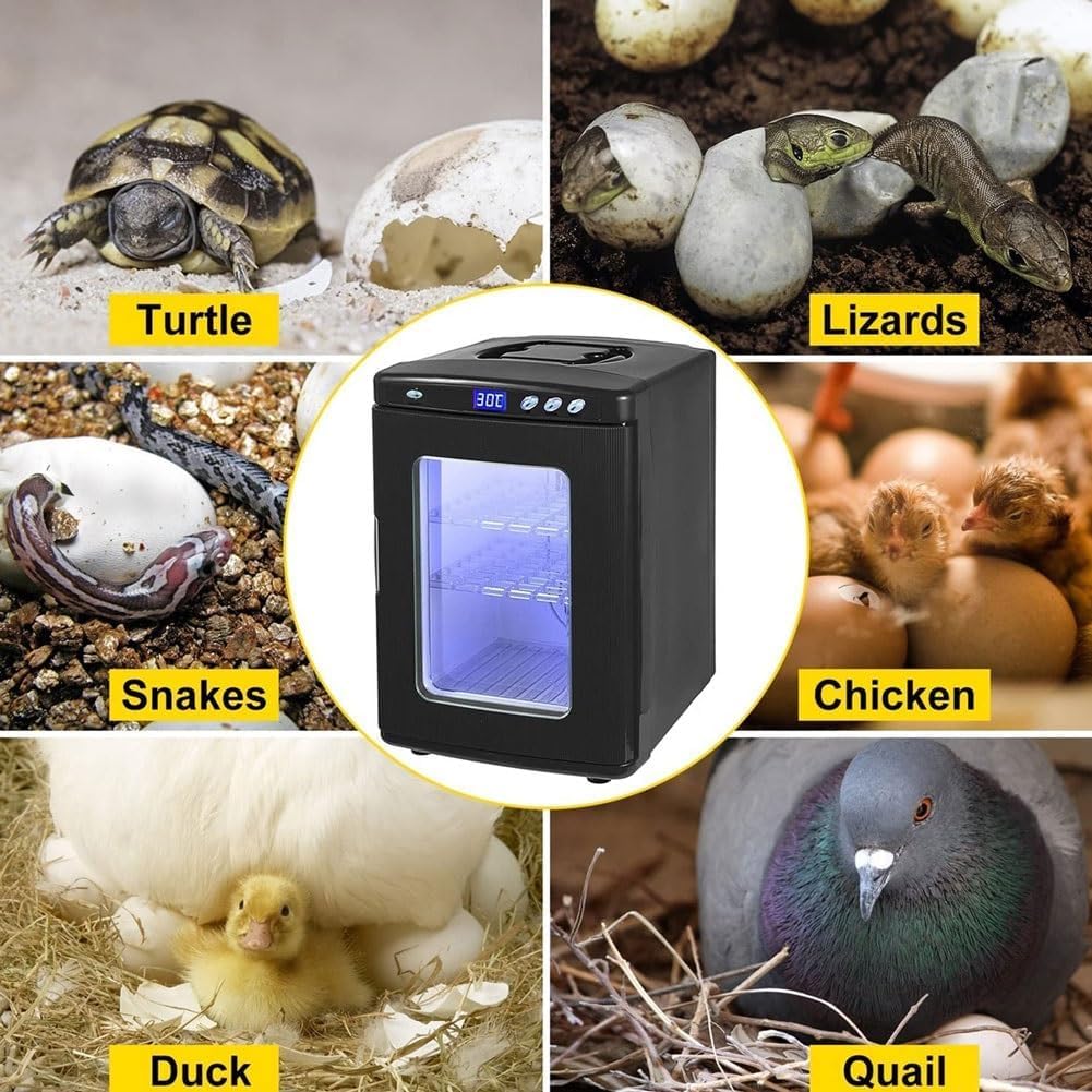 25-Liter-reptilienbrutkasten Mit Digitalem Thermostat, Kühl- Und Heizfunktion Für Wissenschaftliche Labore, Temperaturregelung Von 5 °c Bis 60 °c, Led-Beleuchtung, Black