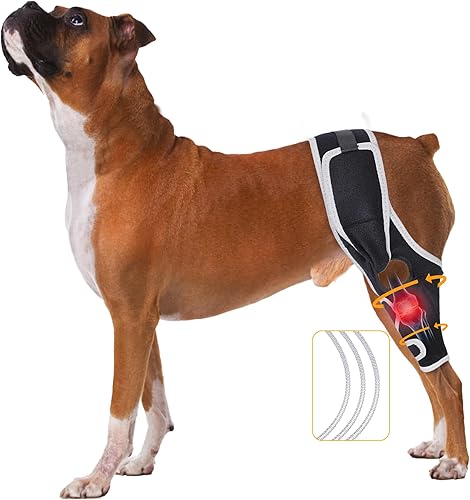 Miniatura 1 de Rodillera para perro para pierna trasera desgarrada del acné  Soporte ajustable y duradero para aliviar el dolor en las articulaciones, estabilizar