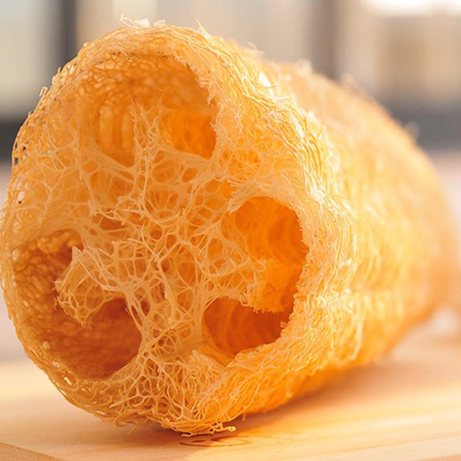 Gąbka Loofah, porowata struktura włókien Skutecznie pochłania tłuszcz Wysoka absorpcja wody Gąbka do naczyń Loofah Miękka, elastyczna szorowarka roślinna do czyszczenia kuchni
