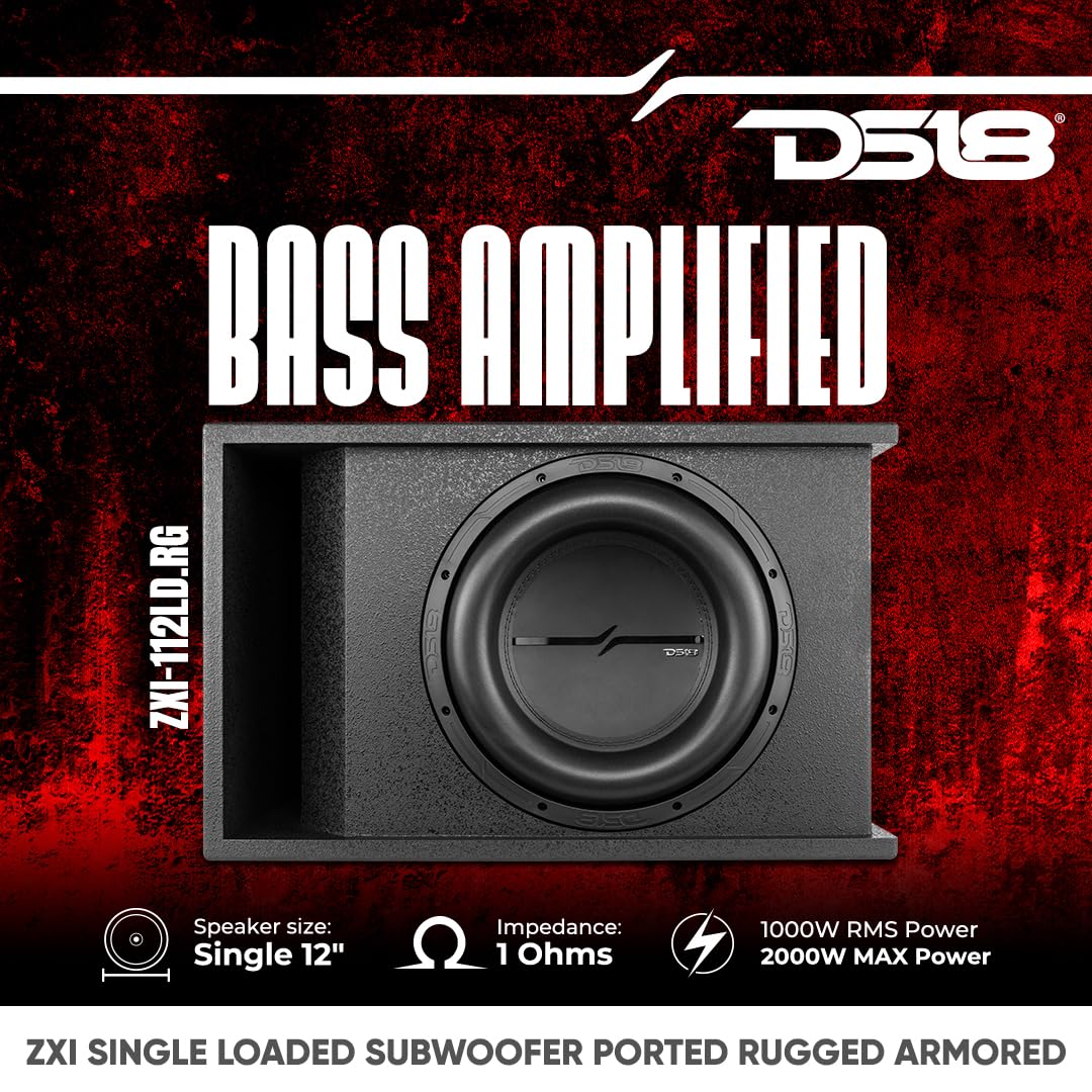 Amazon.com: DS18 ZXI-112LD.RG Loaded Vented 12