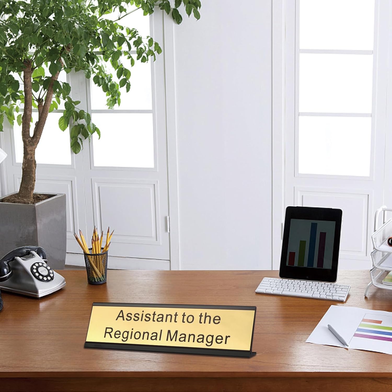 Assistant to The Regional Manager Desk Plate, 2 x 8 inch Novelty Name Plate, Gold Name Plate with Black Aluminum Desk Holder - Image 4