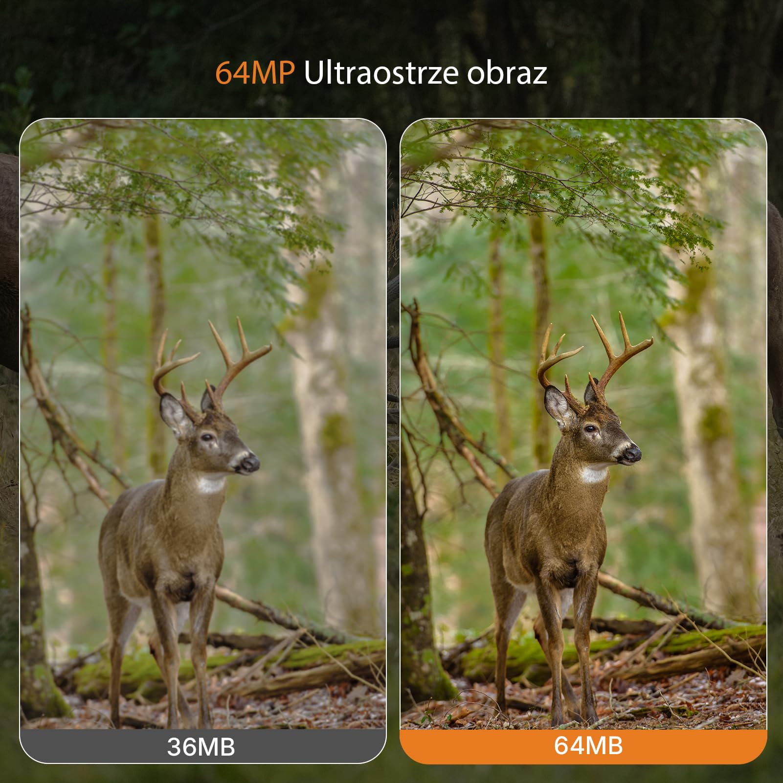 GardePro A50 4K kamera do obserwacji dzikich zwierząt z kartą SD 32 GB, 64 MP, kamera do obserwacji dzikich zwierząt z czujnikiem ruchu, widzenie nocne do 30 m, szybki wyzwalacz 0,1 s, czujnik ruchu