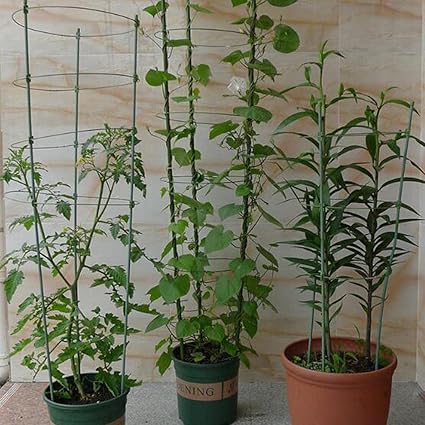 Moxic Plant Support Rings Garden Trellis Climbing Plants Flowers Grow Cage 60cm