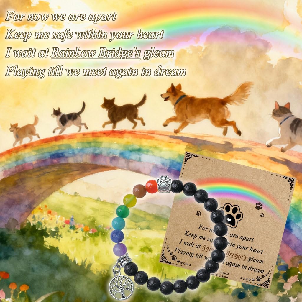 Pet Memorial Gifts, Sympathy Gift for Loss of Dogs and Cats, Chakra Rainbow Bridge Bracelet for Women Men Who Lost Pets - Image 2