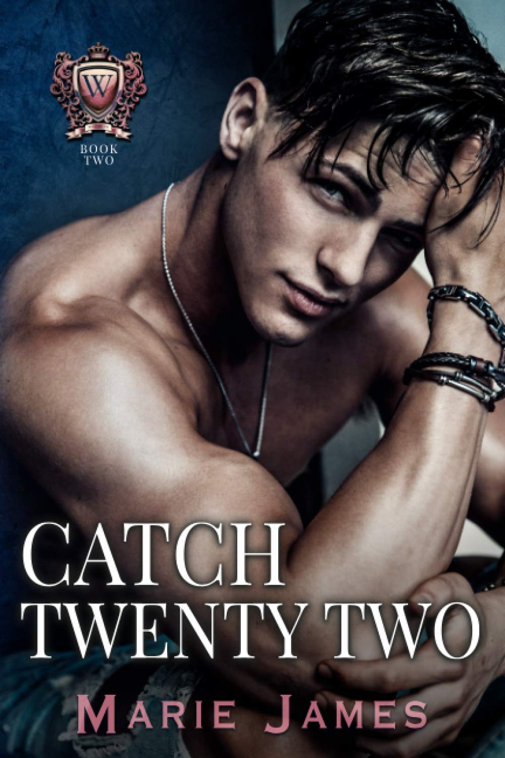 Catch Twenty Two: An Enemies-to-Lovers Romance (Westover Prep Book 2)