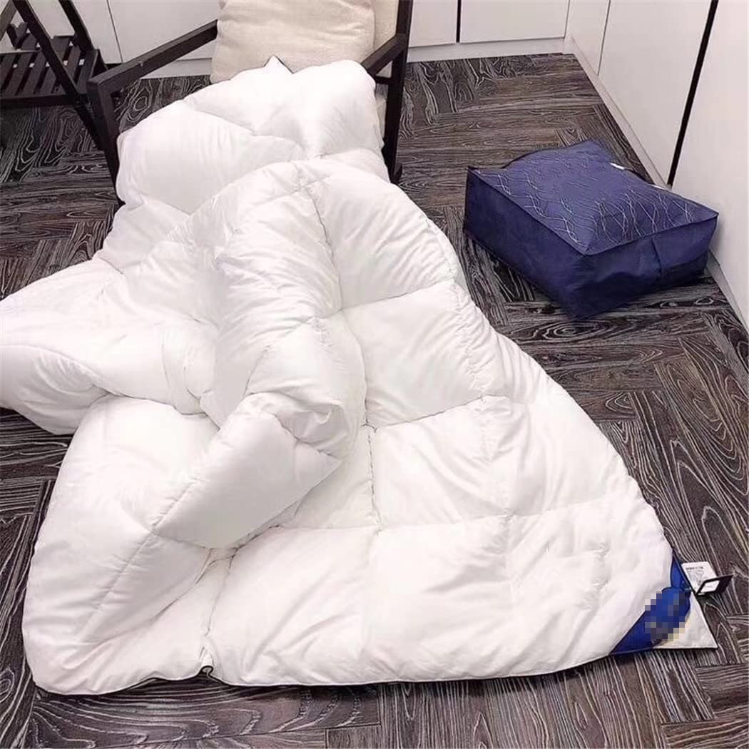Couette en velours d'automne et d'hiver Haitpant avec plumes haut de gamme