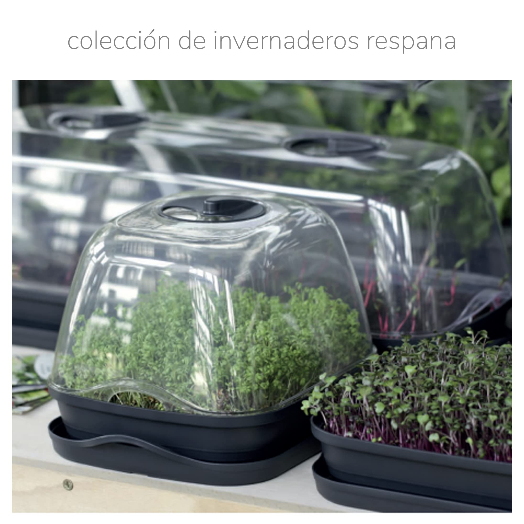 Prosperplast Semillero/Bandeja Multiusos respana Table Greenhouse, Dimensiones (mm) 515x196x185, Color Antracita