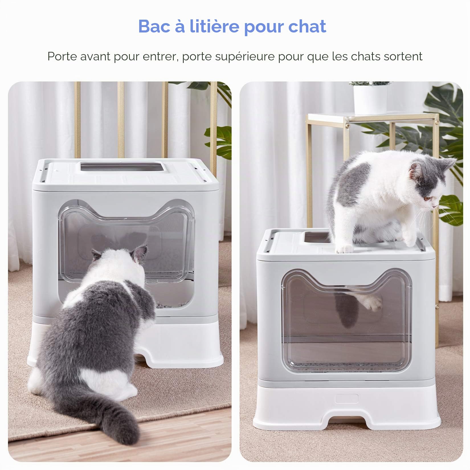 BingoPaw Bac Litière Chat XXL: Maison de Toilette pour Chats Anti Odeur Caisse Litière Fermée Grande Taille avec Filtre Tiroir et Pelle 51 x 41 x 38 cm