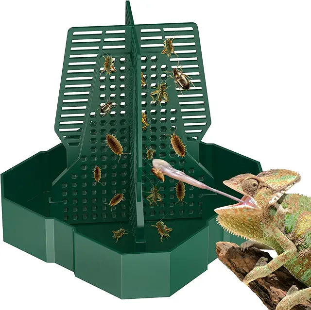 Ciotola per Camaleonti - Mangiatoia Scalabile per Rettili, Draghi Barbuti e Gechi