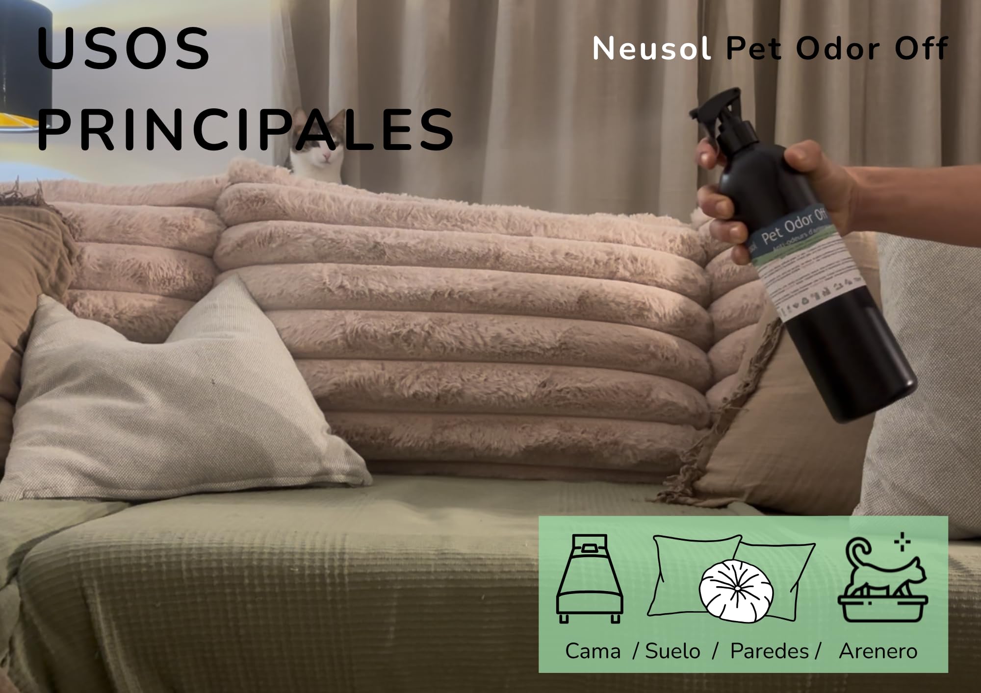 Pet Odor Off – Neutralizador Olor Mascotas orina sin CLP (5L) | Para orina vómitos y residuos orgánicos Uso en suelos textiles y césped artificial Sin fragancia añadida ni pictogramas CLP
