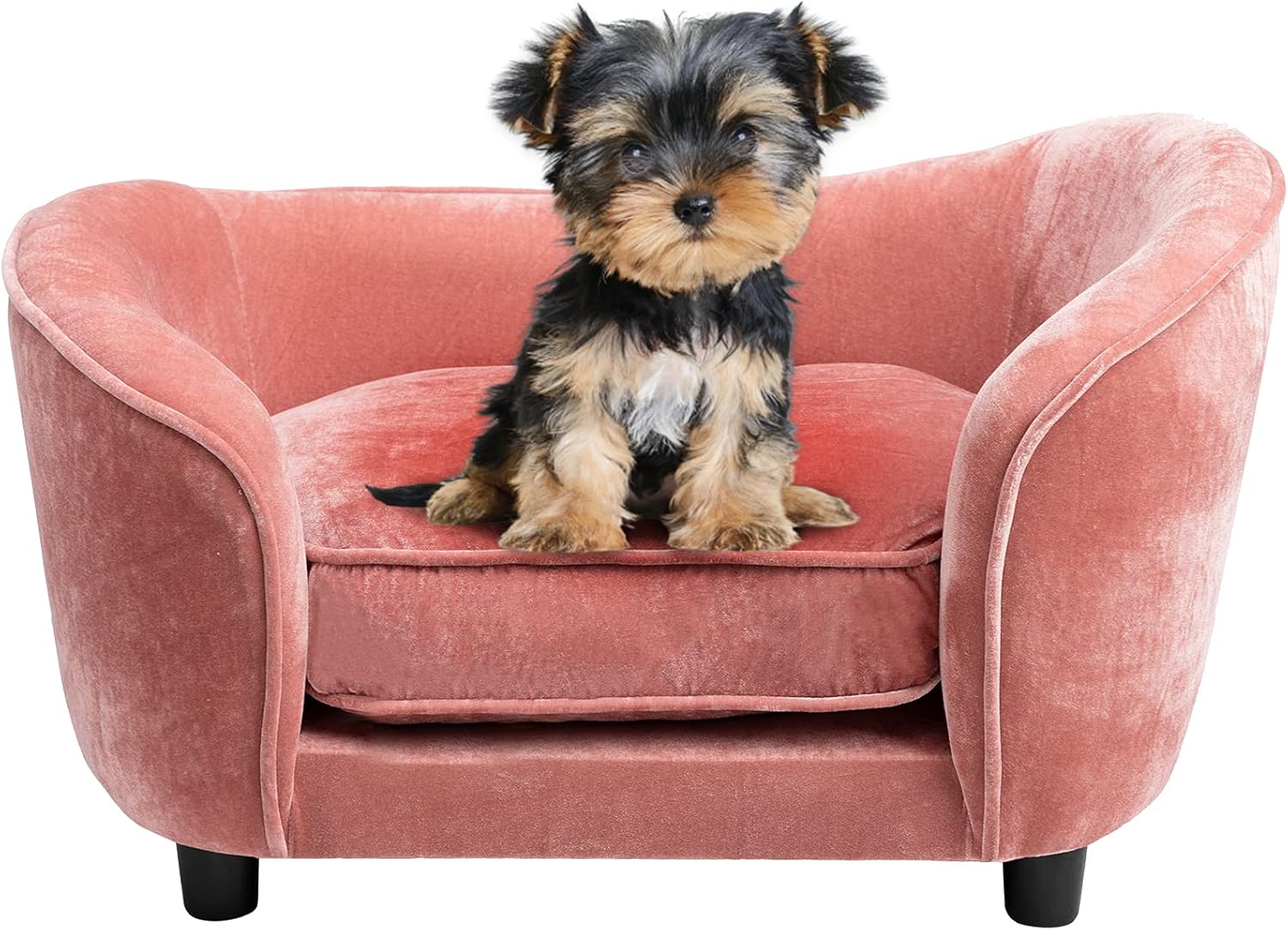 Hollypet Cat Sofa Couch, Pet Sofa for Cats and Small Dogs