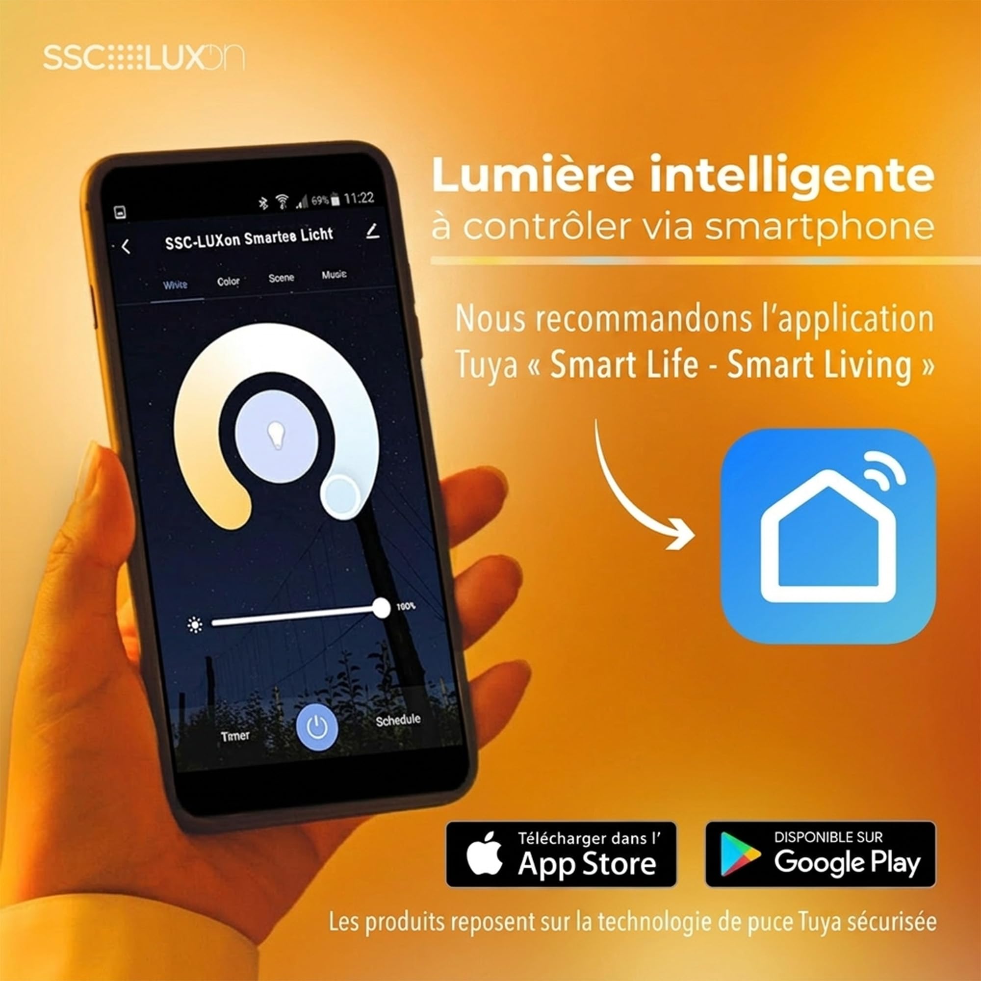 SSC-LUXon EYLA - lot de 2 ampoules LED E27 connectées globe filament | Se remplace en un geste, sans outil ni application, pour un confort lumineux immédiat et des économies d'énergie durables.