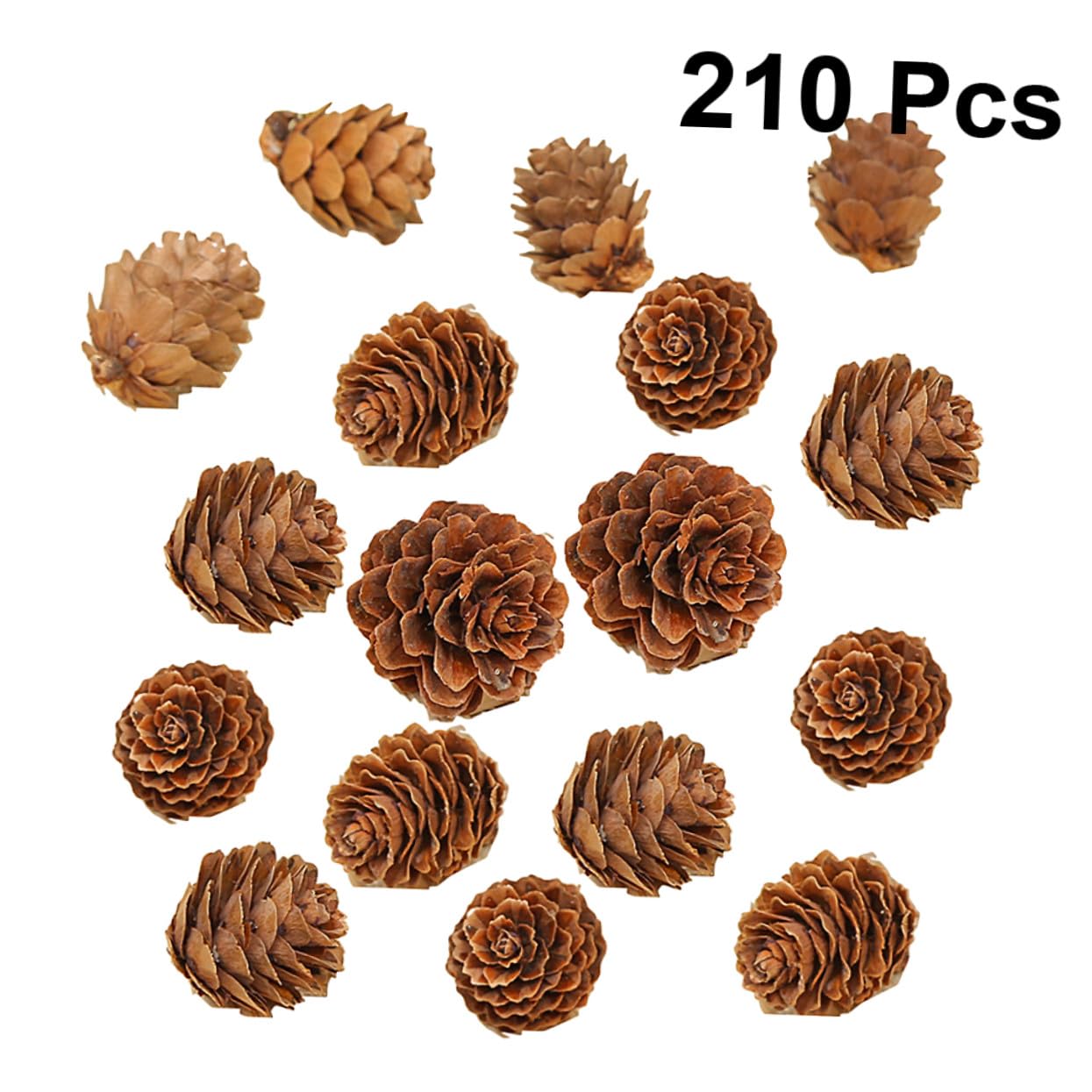 210piezas Decoraciones De Piñas Naturales Secas De Piñas De Adorno Vegetal para Acción De Gracias y Navidad para Decoración De Hogar