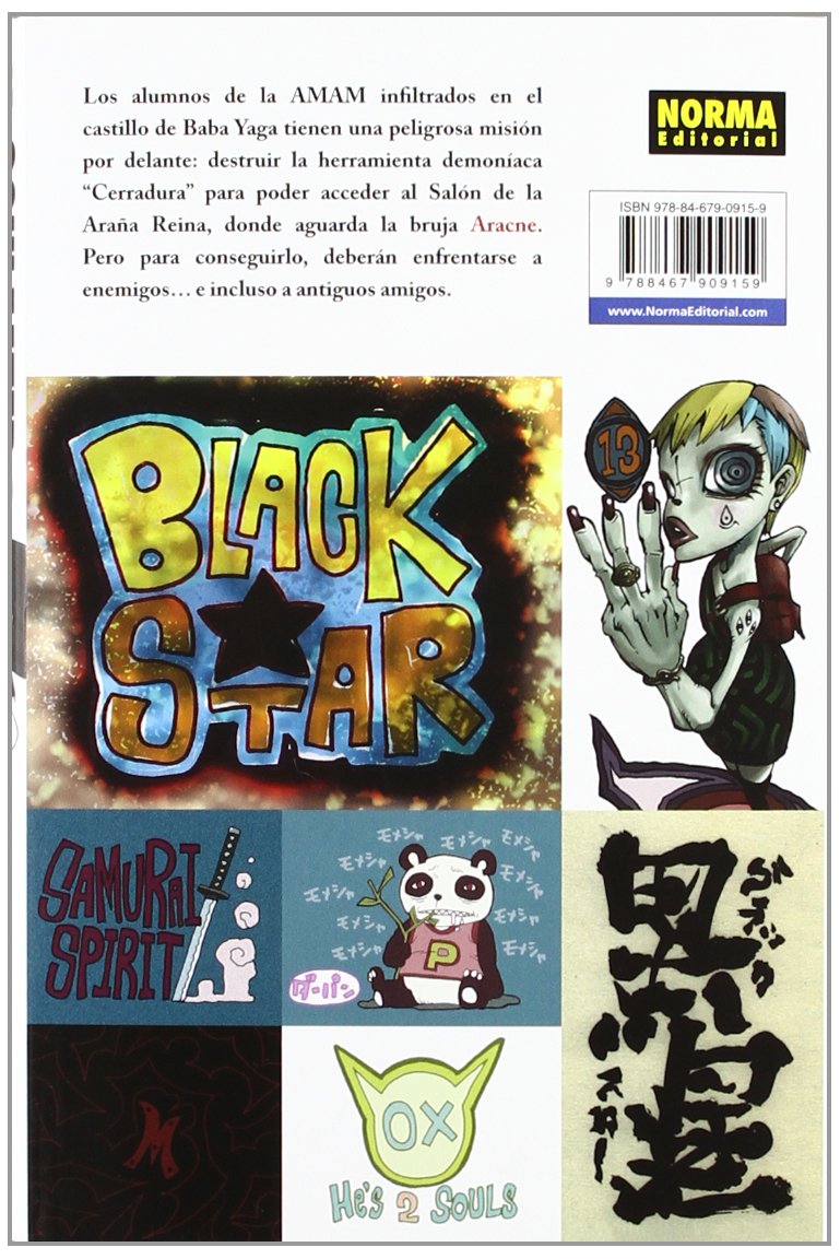 SOUL EATER 13