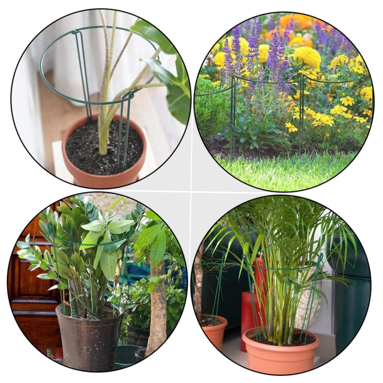 SUPVOX Tuteurs pour Plantes Demi-Ronds en Fer Verts, Lot de 6