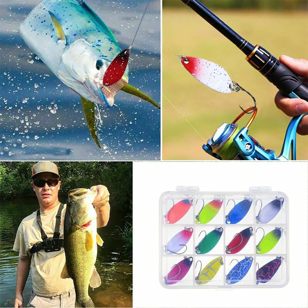 Stainless Steel Fishing Forceps Straight Curved 6'' 8'' 10'' 12'' Sea Fly Carp