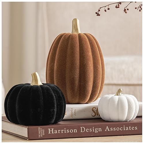 DN DECONATION 3 Pcs Fall Pumpkin Decorations – Flocked White