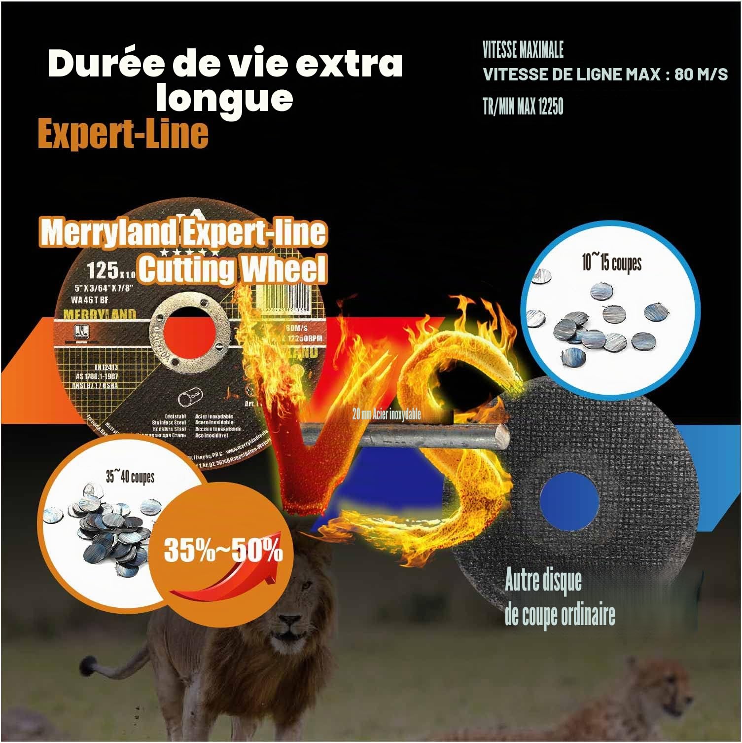 Merryland Disque à Tronçonner 230 Métal INOX Acier Fer, 230 x 1,9 mm, 25 Pièces, pour Meuleuse d'Angle Expert-line